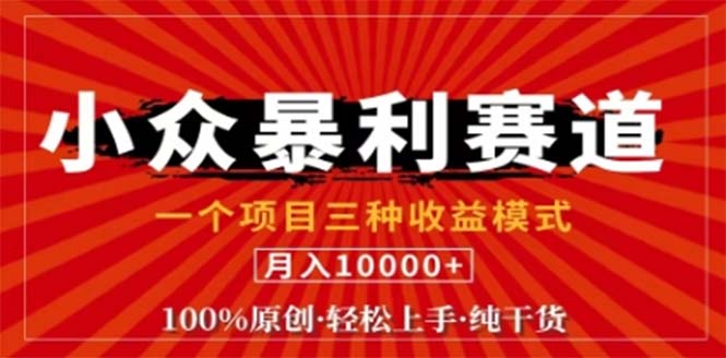 视频号最新爆火赛道，三种可收益模式，0粉新号条条原创条条热门 日入1000+-翻身站