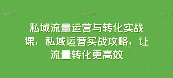 私域流量运营与转化实战课，私域运营实战攻略，让流量转化更高效-翻身站