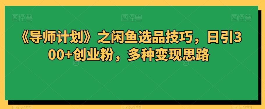 《导师计划》之闲鱼选品技巧，日引300+创业粉，多种变现思路-翻身站
