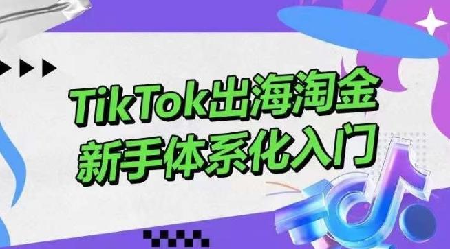 TikTok出海淘金，新手体系化入门，零基础快速入门，掌握短视频、直播带货等引流到变现的知识-翻身站