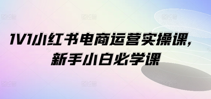 1V1小红书电商运营实操课，新手小白必学课-翻身站