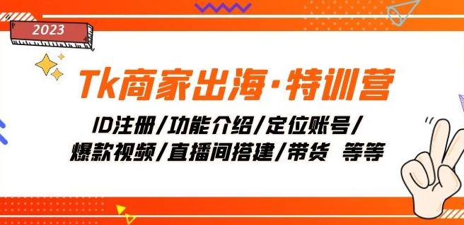 Tk商家出海·特训营：ID注册/功能介绍/定位账号/爆款视频/直播间搭建/带货-翻身站