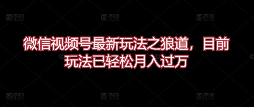 微信视频号最新玩法之狼道，目前玩法已轻松月入过万【揭秘】-翻身站