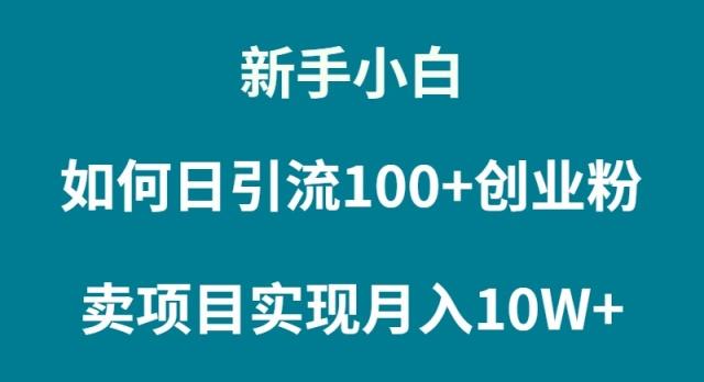 (9556期)新手小白如何通过卖项目实现月入10W+-翻身站