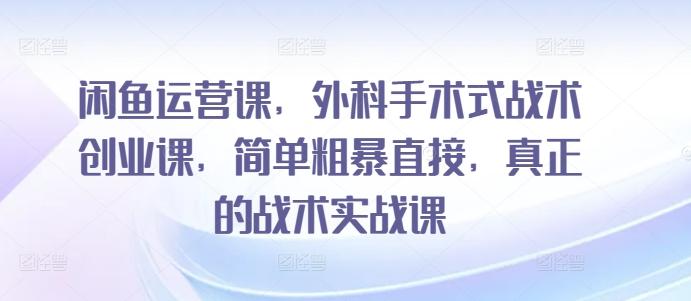 闲鱼运营课，外科手术式战术创业课，简单粗暴直接，真正的战术实战课-翻身站