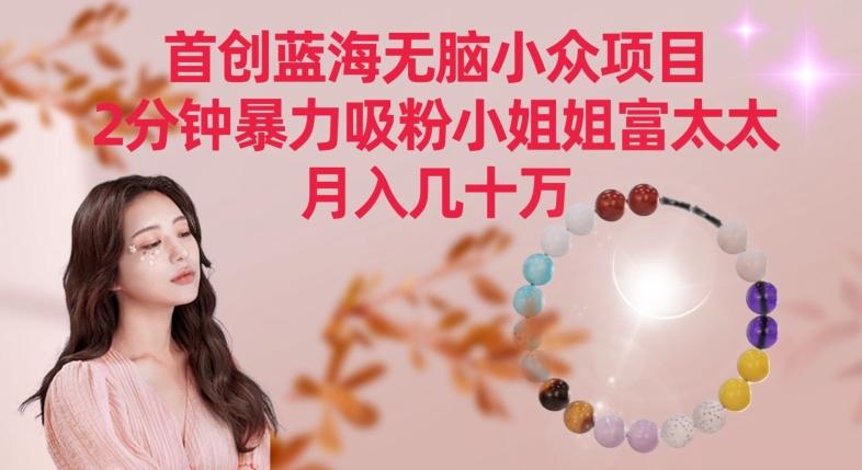首创蓝海无脑小众项目，2分钟暴力吸粉小姐姐富太太，月入几十万【揭秘】-翻身站