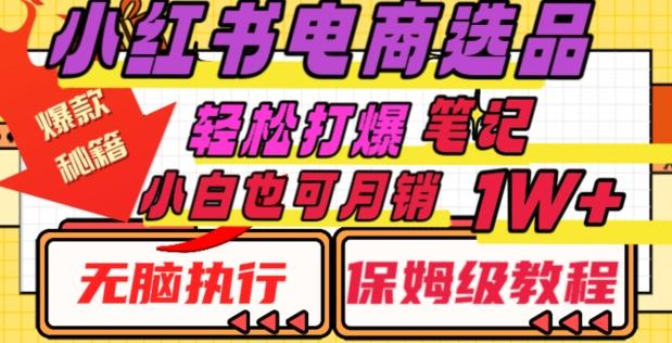 小红书电商爆款选品秘籍，帮你轻松打爆笔记，小白也可轻松月销10000+-翻身站