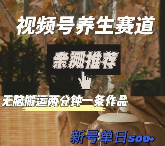 视频号养生赛道暴力掘金，无脑搬运，两分钟一条作品-新日单入500+-翻身站