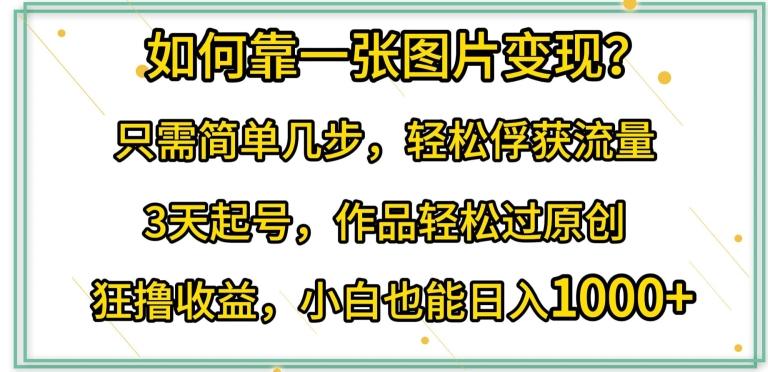 如何靠一张图片变现?只需简单几步，轻松俘获流量，3天起号，作品轻松过原创【揭秘】-翻身站