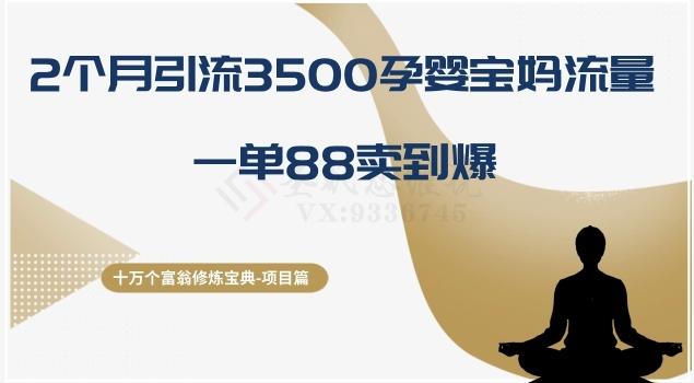 十万个富翁修炼宝典之13.2个月引流3500孕婴宝妈流量，一单88卖到爆-翻身站