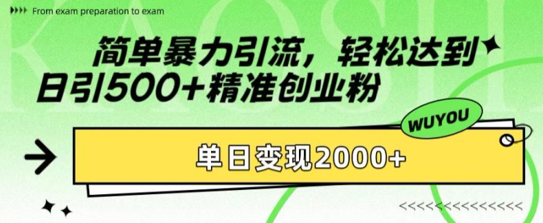 简单暴力引流，轻松达到日引500+精准创业粉，单日变现2k【揭秘】-翻身站