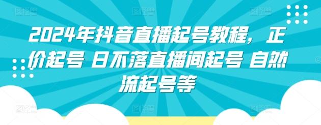 2024年抖音直播起号教程，正价起号 日不落直播间起号 自然流起号等-翻身站