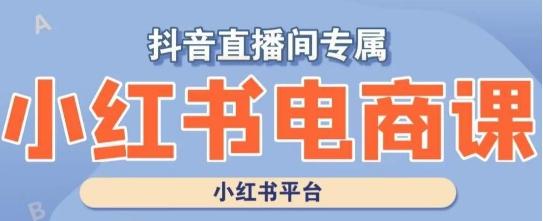 小红书电商高级运营课程，实操教学+案例分析-翻身站