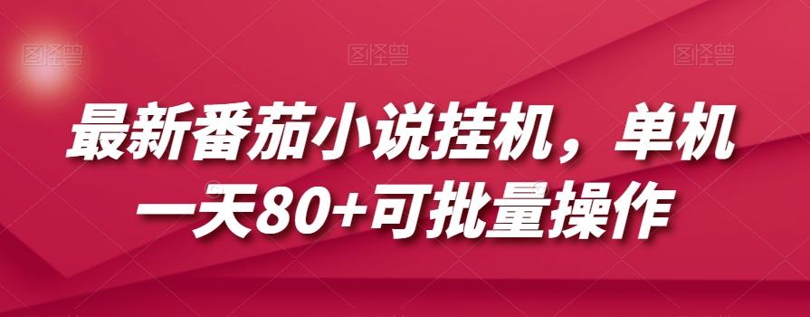 最新番茄小说挂机，单机一天80+可批量操作【揭秘】-翻身站